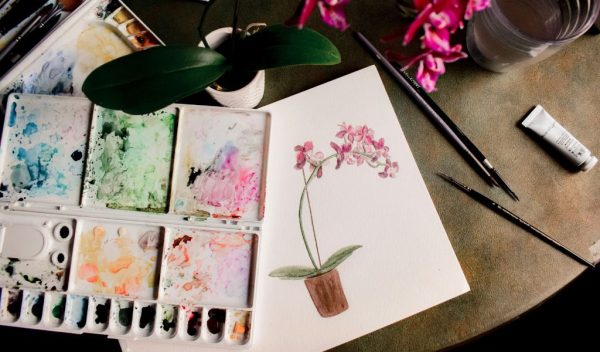 Selfcare hobbies